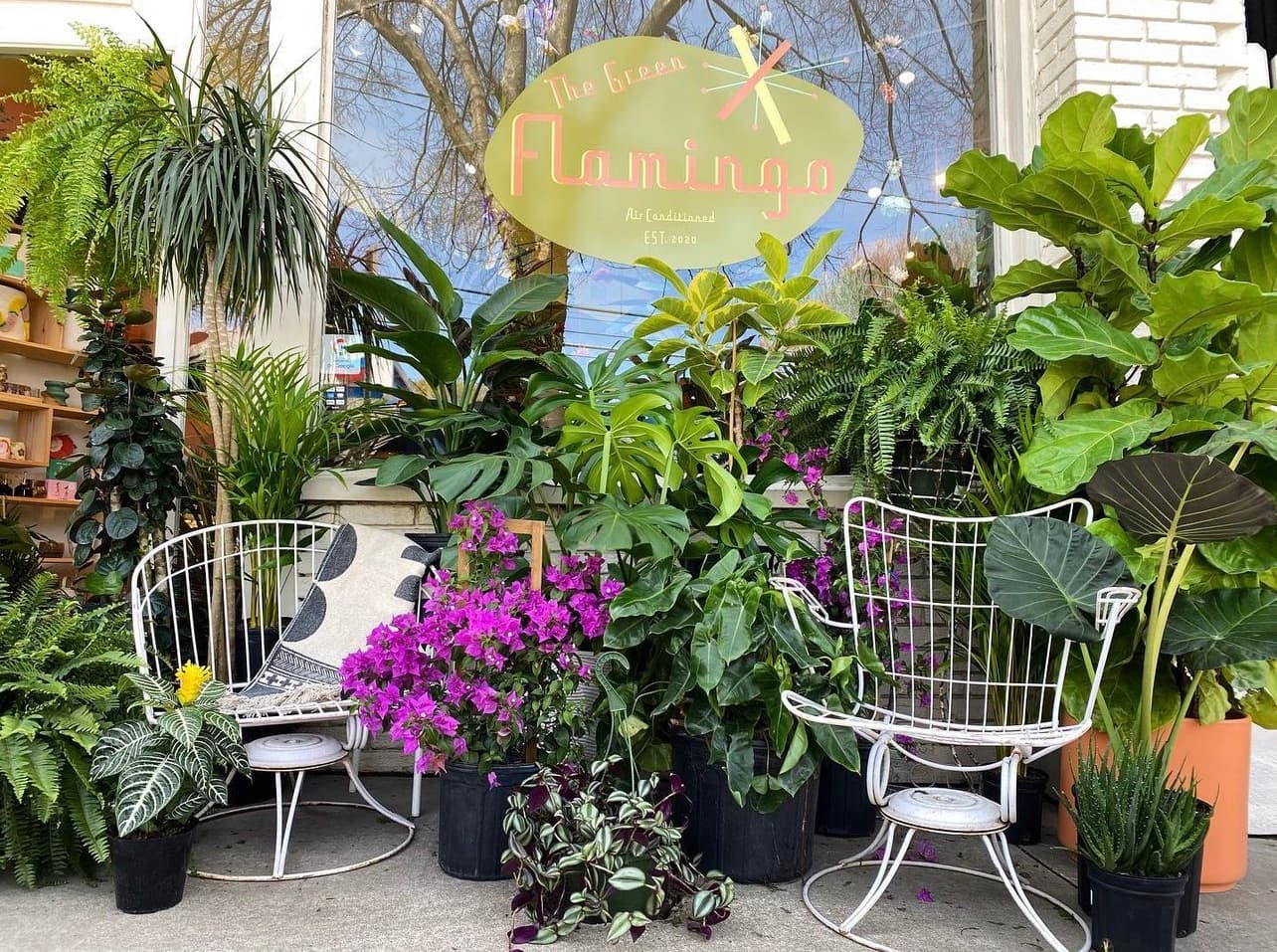 The Green Flamingo Plant Shop in Virginia Highland