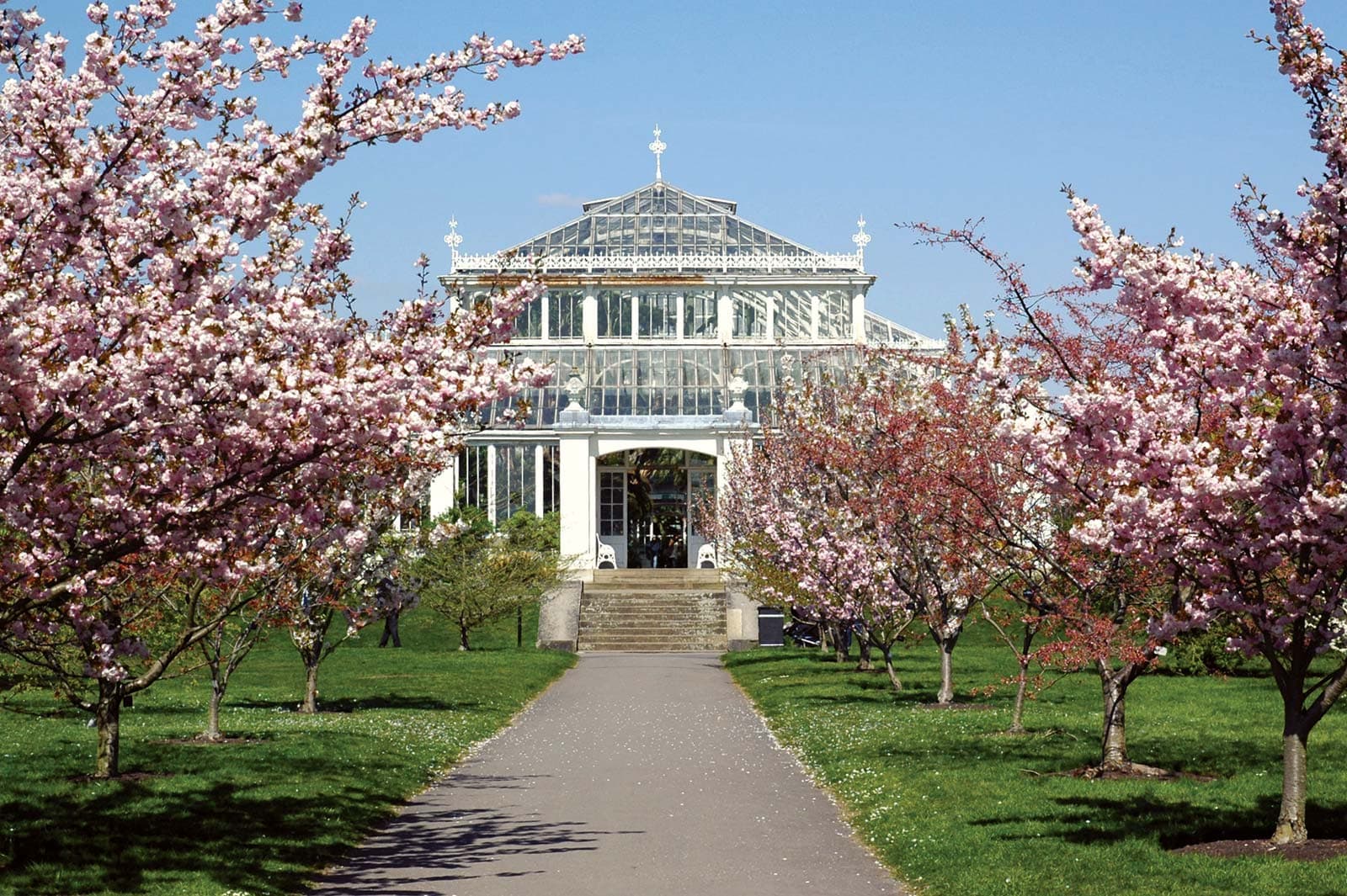 The Royal Botanic Gardens, Kew in London, photo 5 of 7