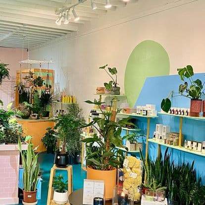 The Green Flamingo Plant Shop in Virginia Highland, photo 2 of 4