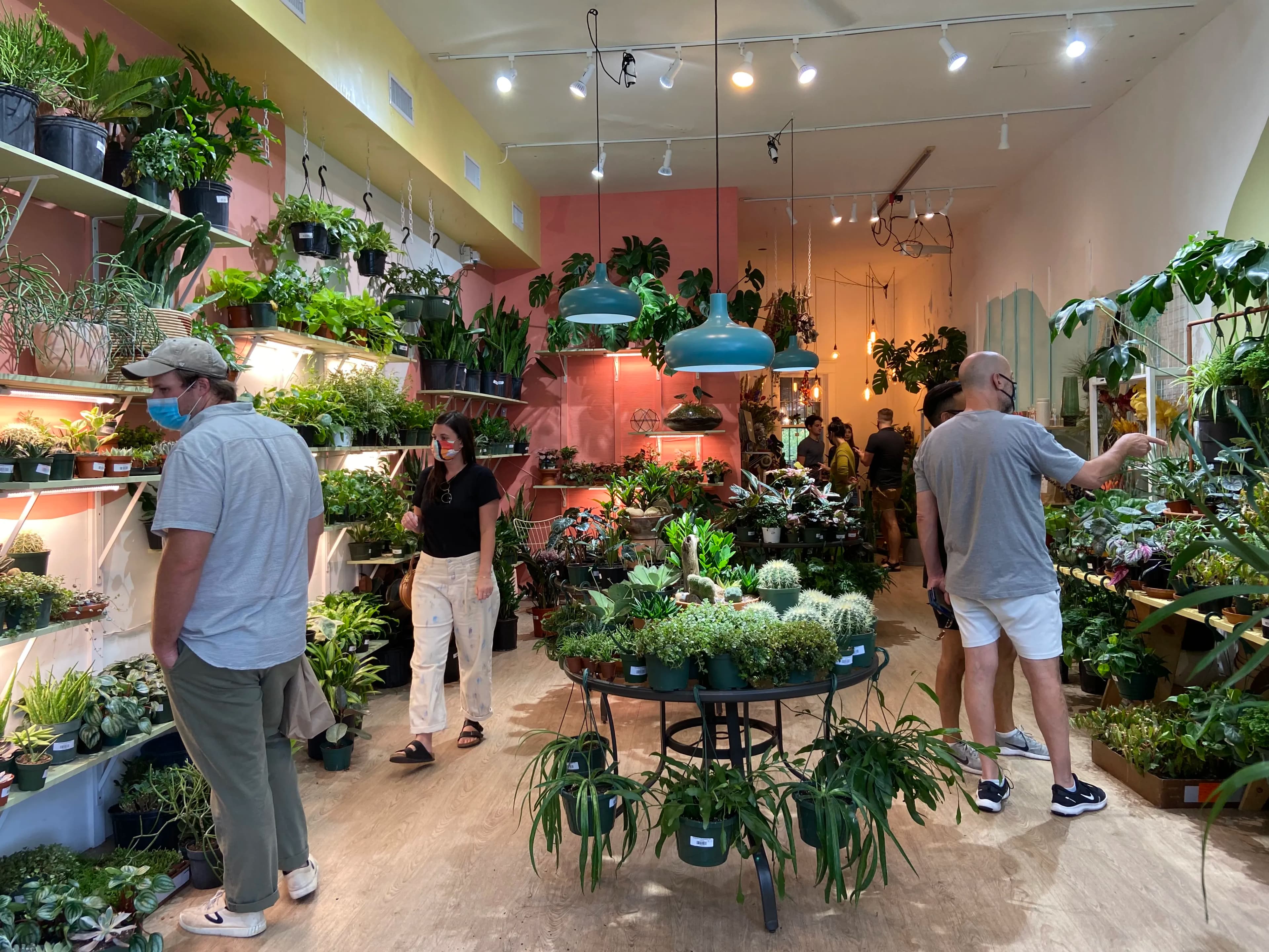 The Green Flamingo Plant Shop in Virginia Highland, photo 4 of 4