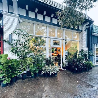 The Green Flamingo Plant Shop in Virginia Highland, photo 3 of 4