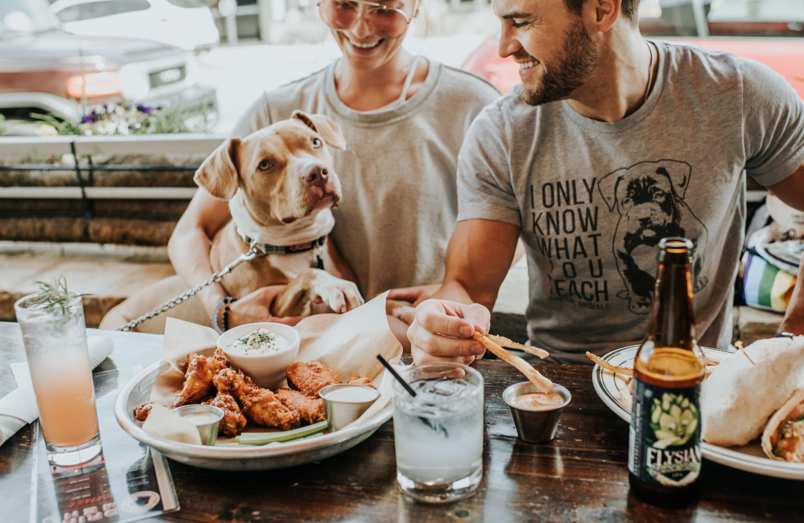 The Family Dog