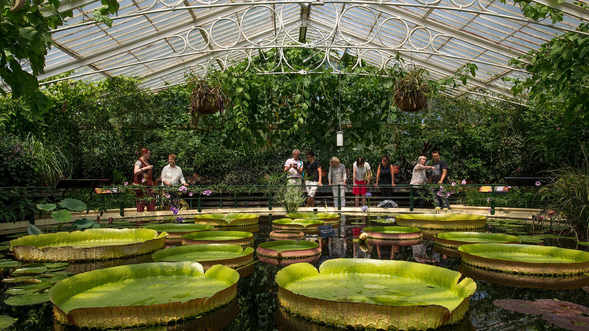 The Royal Botanic Gardens, Kew in London, photo 4 of 7