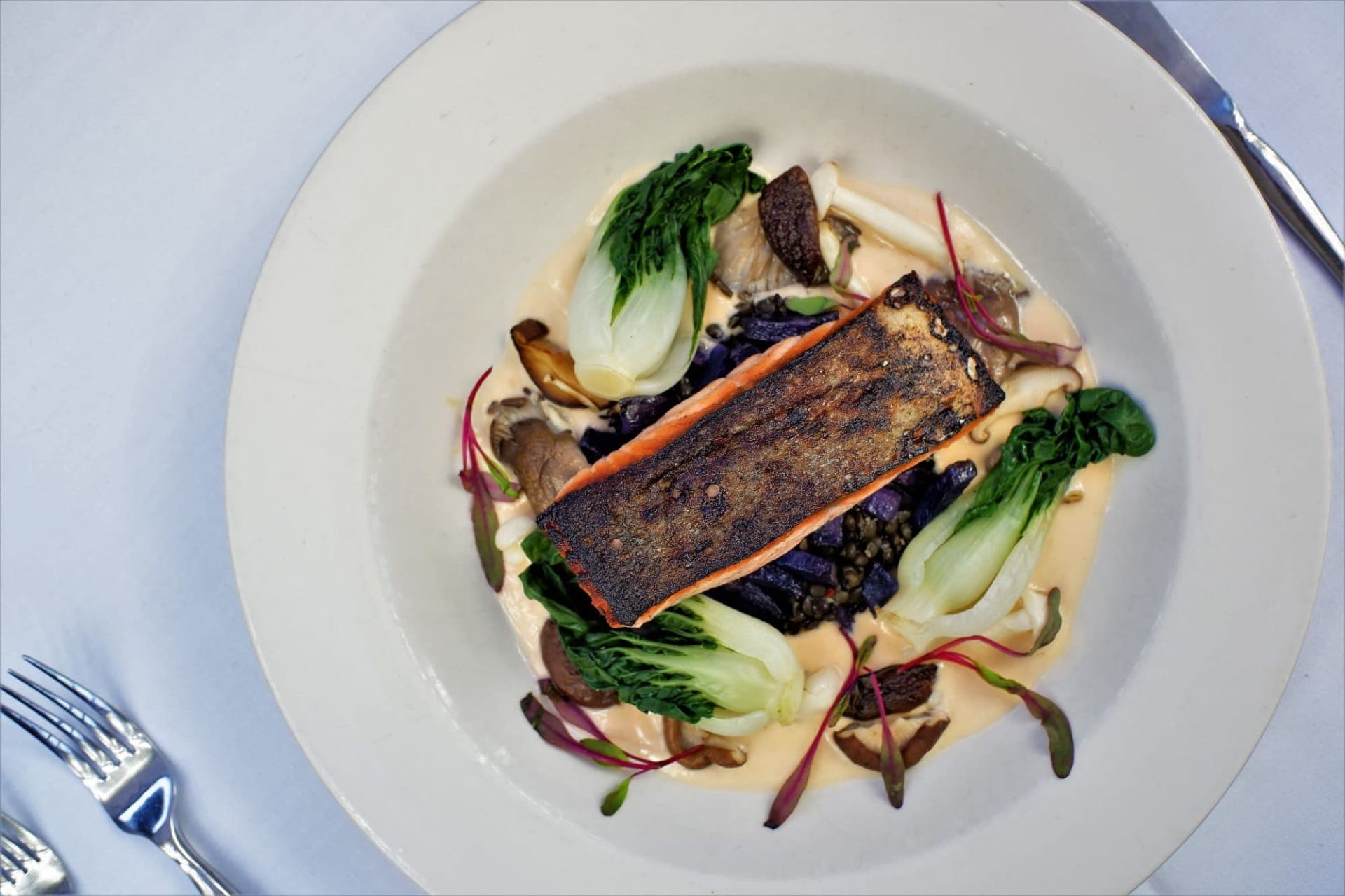 Terra Terroir in Brookhaven, photo 4 of 4