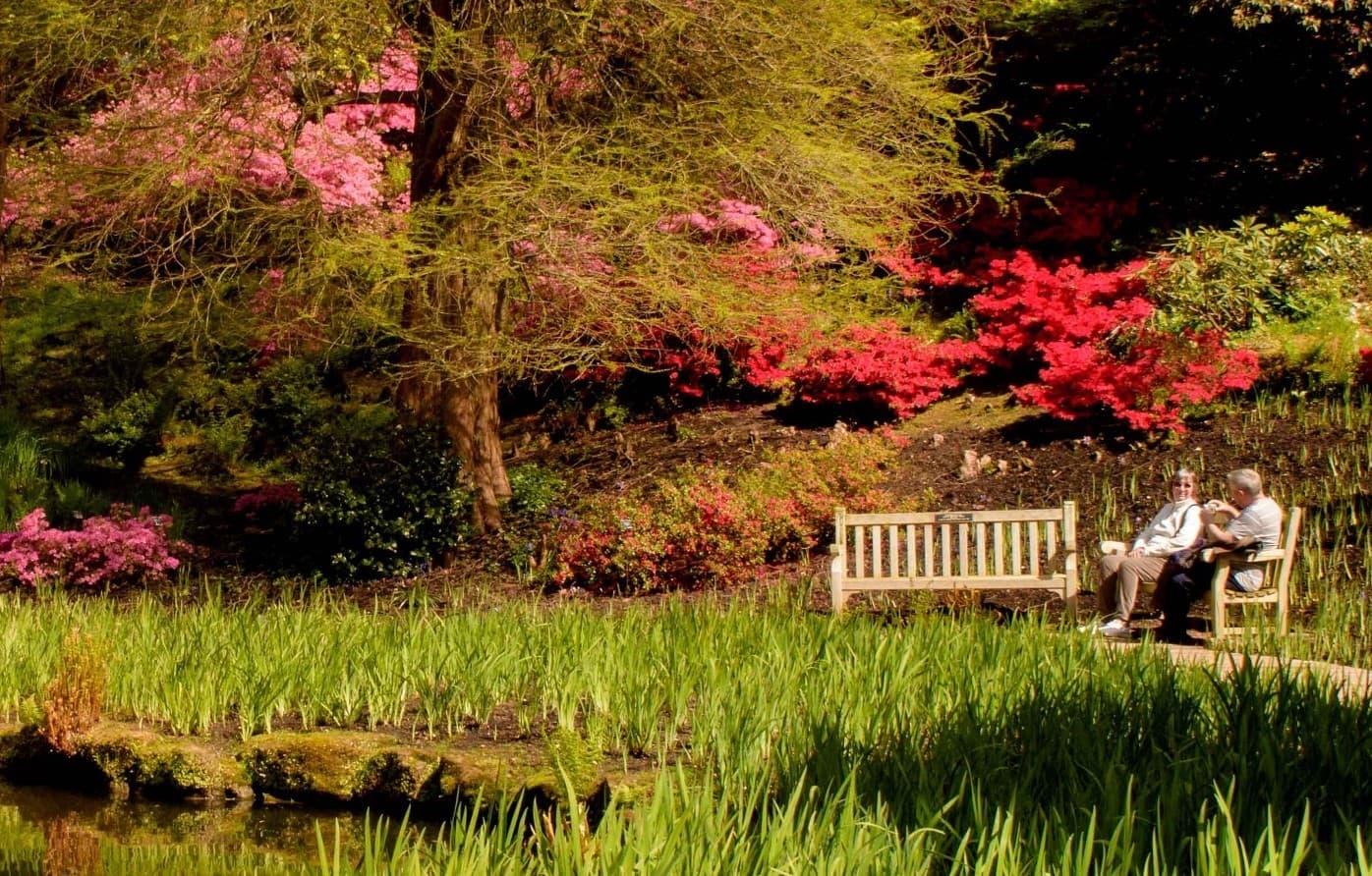 The Royal Botanic Gardens, Kew in London, photo 7 of 7