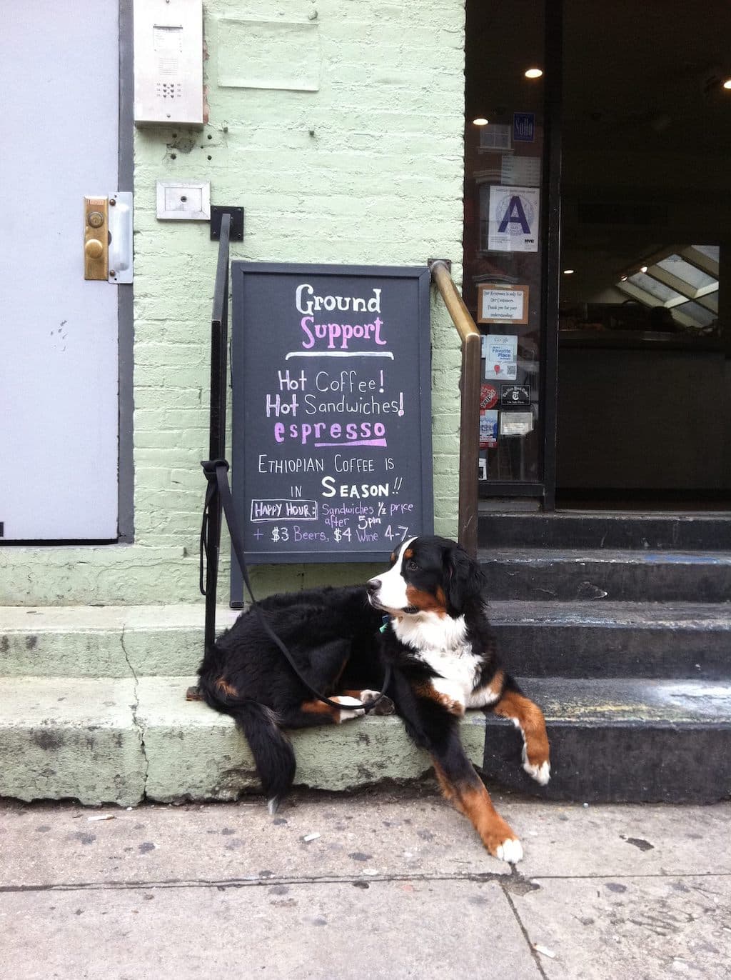 Ground Support in New York, photo 6 of 6